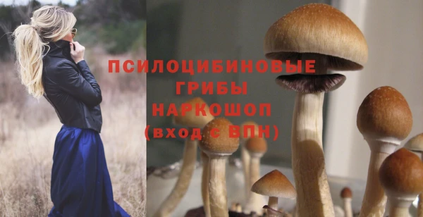 jwh Богданович