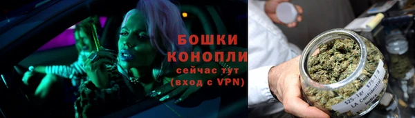 гашик Богородск